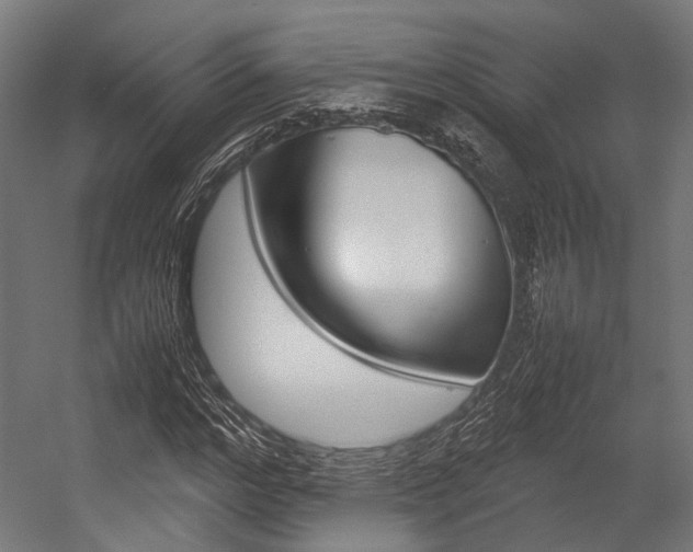 X0000054470968200507291043