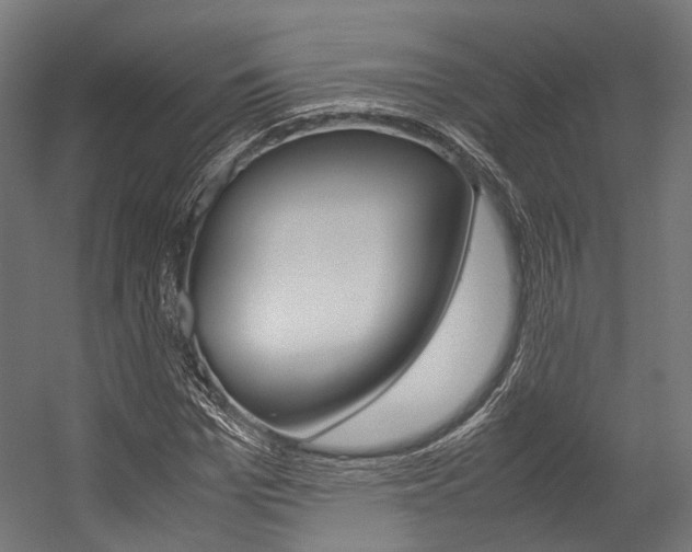 X0000054470969200507291043