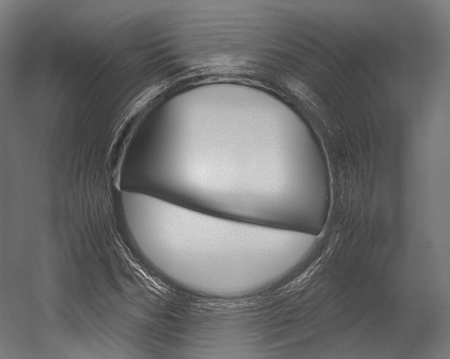 X0000054470970200507291043