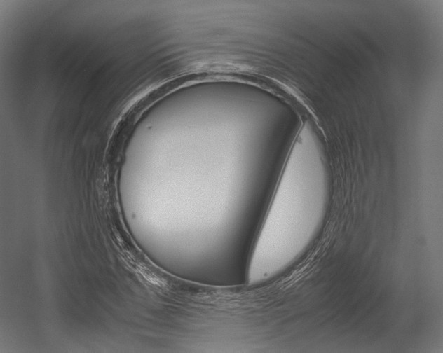 X0000054470971200507291043