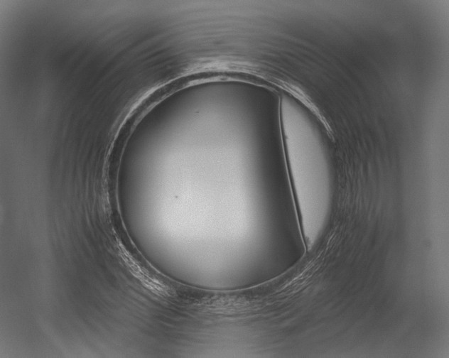 X0000054470972200507291043