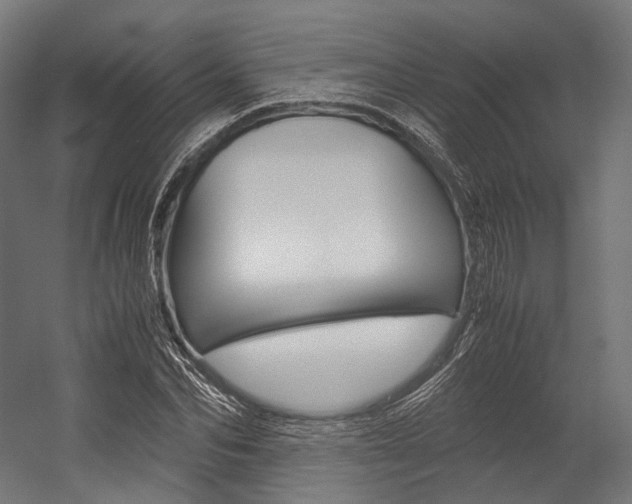 X0000054470974200507291043