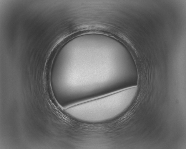 X0000054470975200507291043