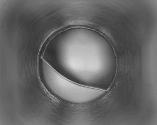 X0000054470976200507291043