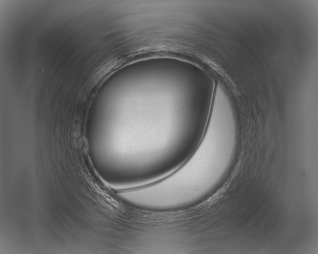 X0000054470977200507291043