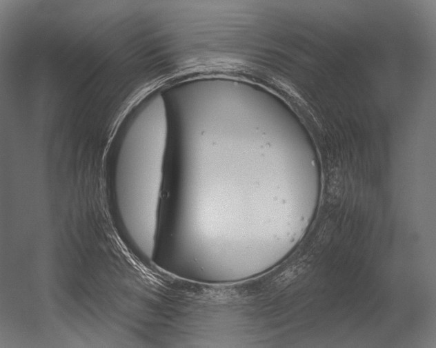 X0000054470978200507291043