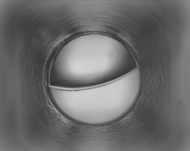 X0000054470979200507291043