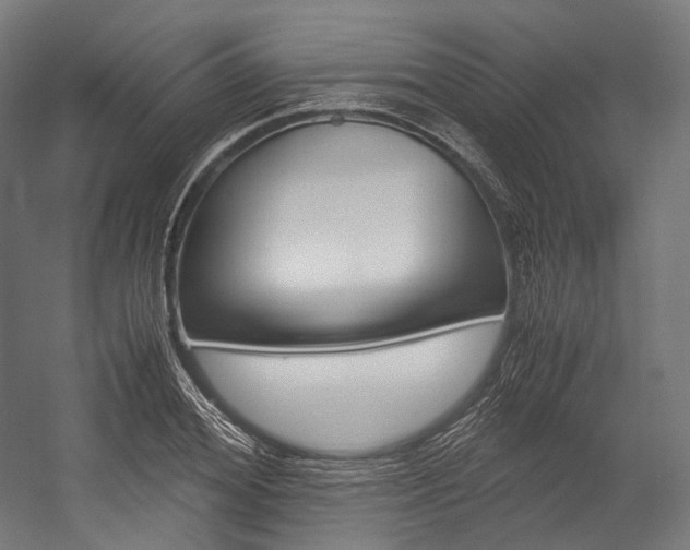X0000054470980200507291043