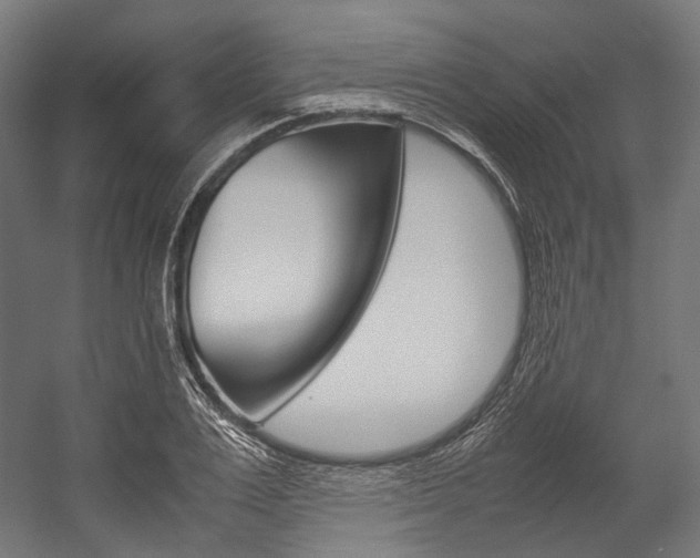 X0000054470983200507291043