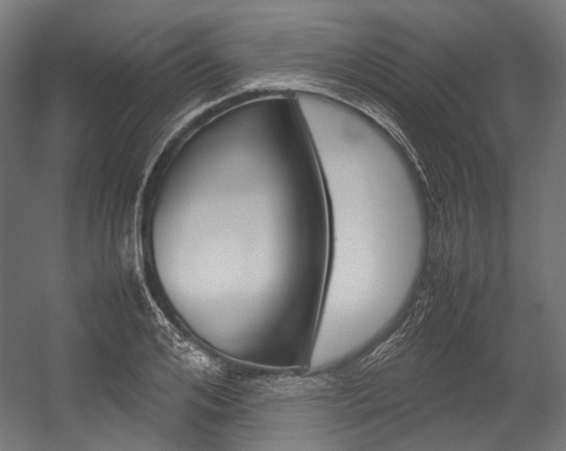 X0000054470984200507291043