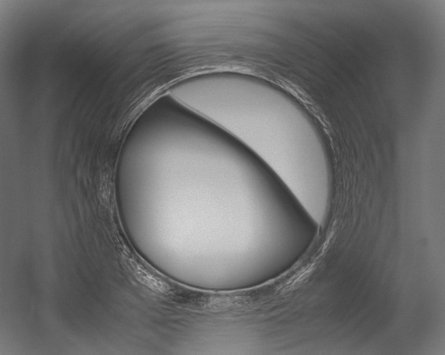 X0000054470985200507291043
