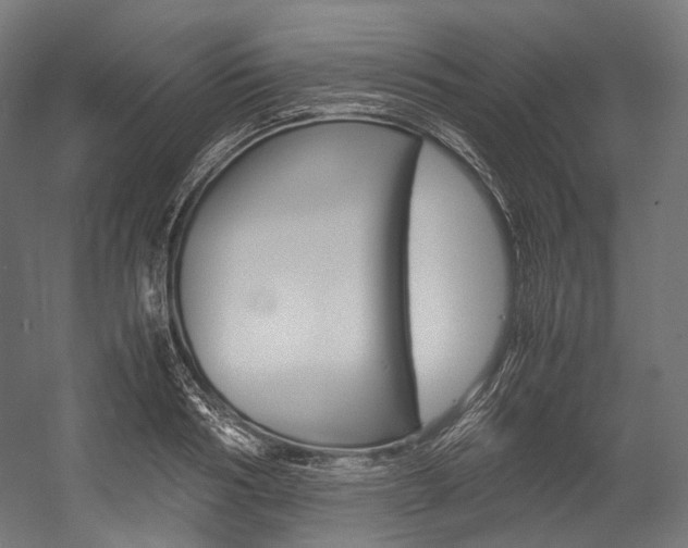 X0000054470986200507291043