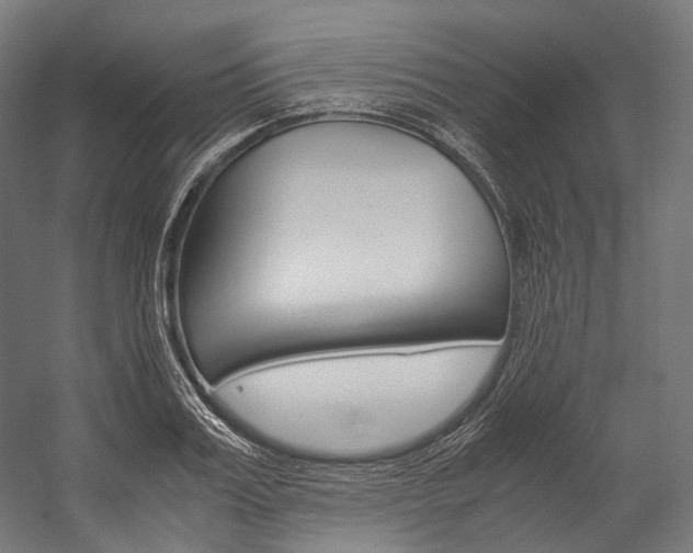 X0000054470987200507291043
