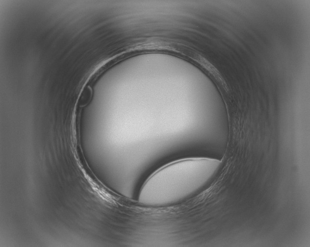 X0000054470988200507291043