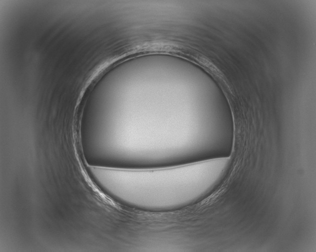 X0000054470989200507291043