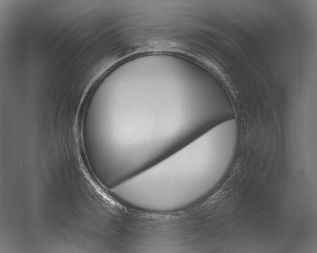 X0000054470990200507291043