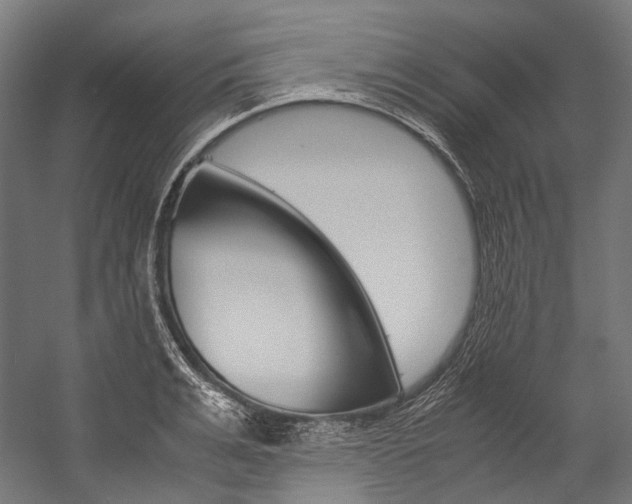 X0000054470991200507291043