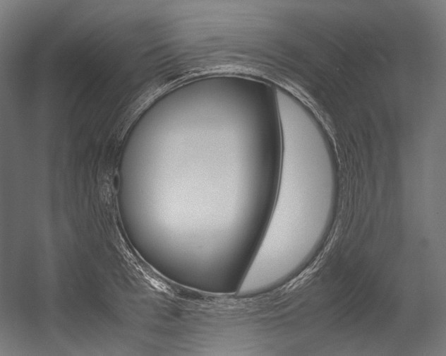 X0000054470993200507291043