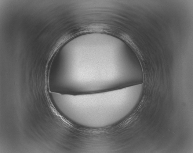 X0000054470994200507291043