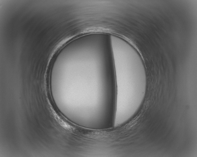 X0000054470995200507291043