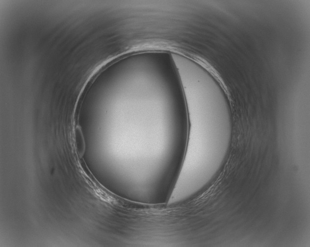 X0000054470996200507291043