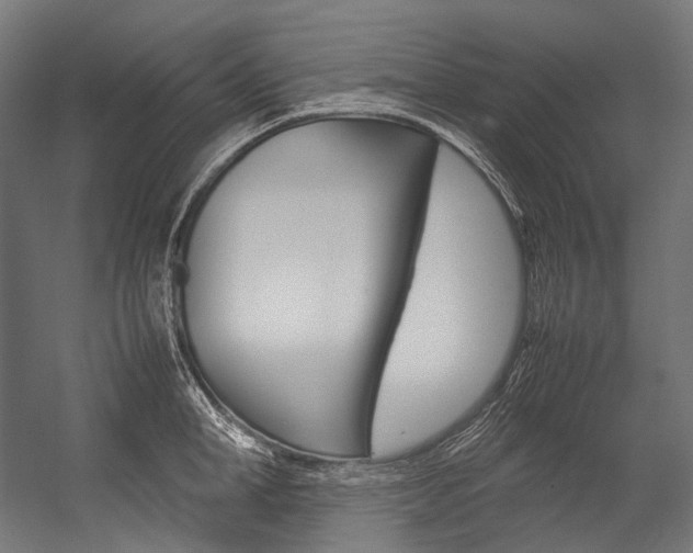 X0000054470998200507291042