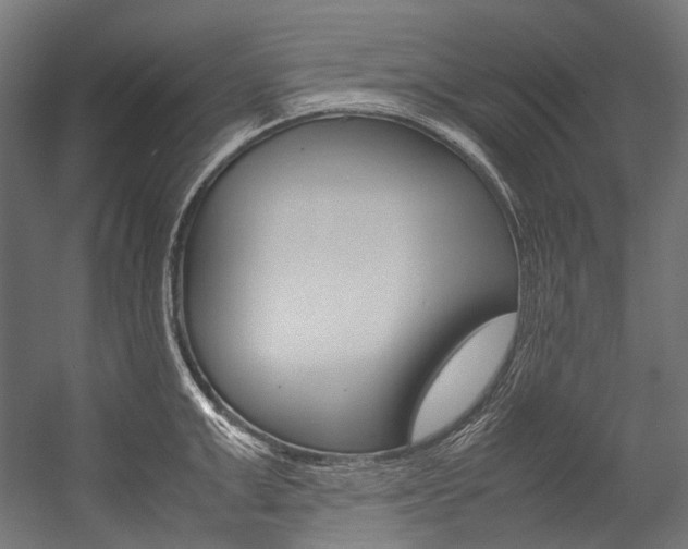 X0000054470999200507291042