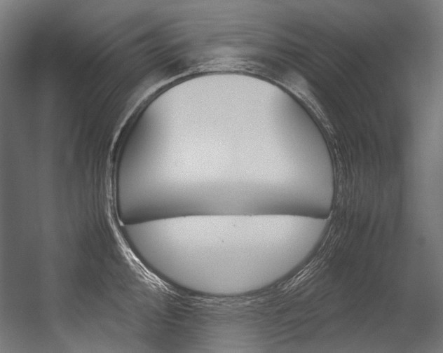 X0000054471000200507291042