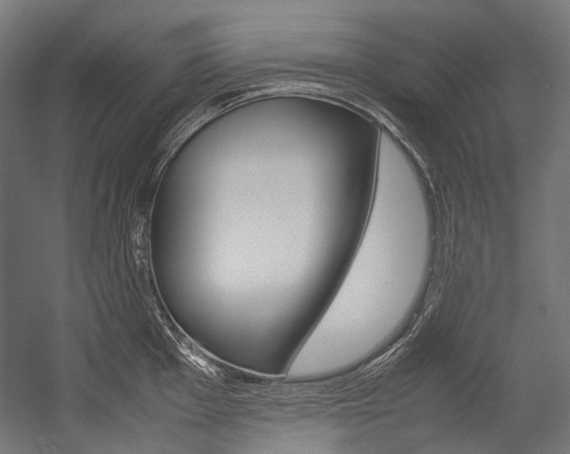 X0000054471001200507291042