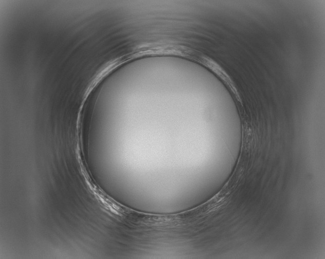 X0000054471002200507291042
