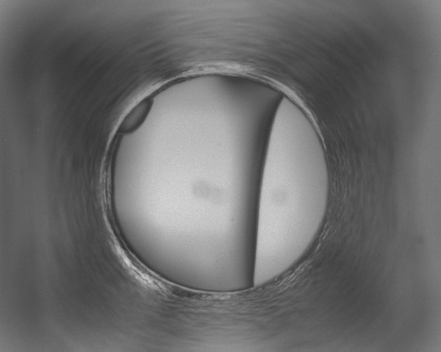 X0000054471003200507291042