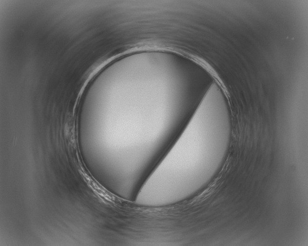 X0000054471004200507291042