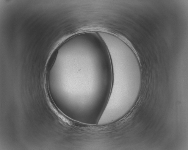 X0000054471005200507291042
