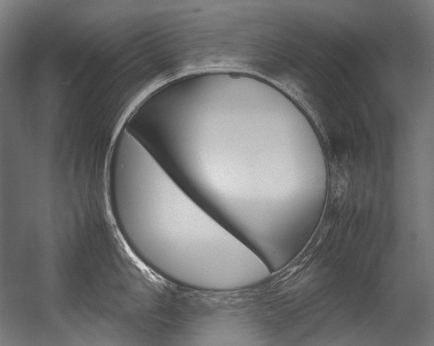 X0000054471006200507291042