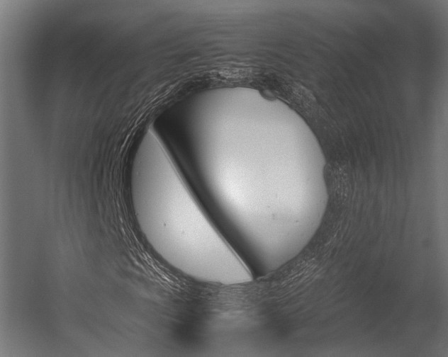 X0000054471009200507291041