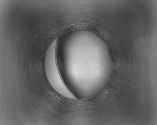 X0000054471010200507291042
