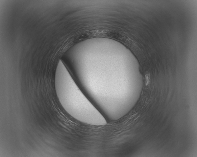 X0000054471011200507291042