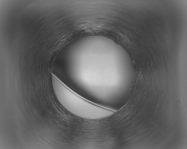 X0000054471012200507291042