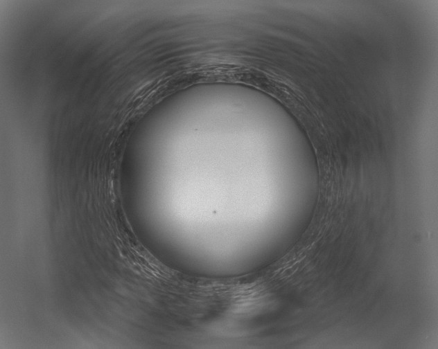 X0000054471013200507291042