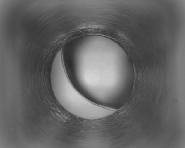 X0000054471014200507291042