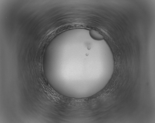 X0000054471015200507291042