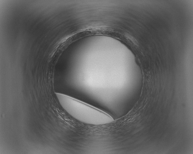 X0000054471016200507291042