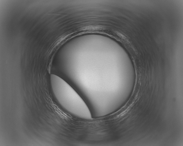 X0000054471017200507291042
