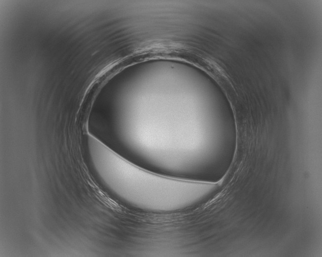 X0000054471018200507291042