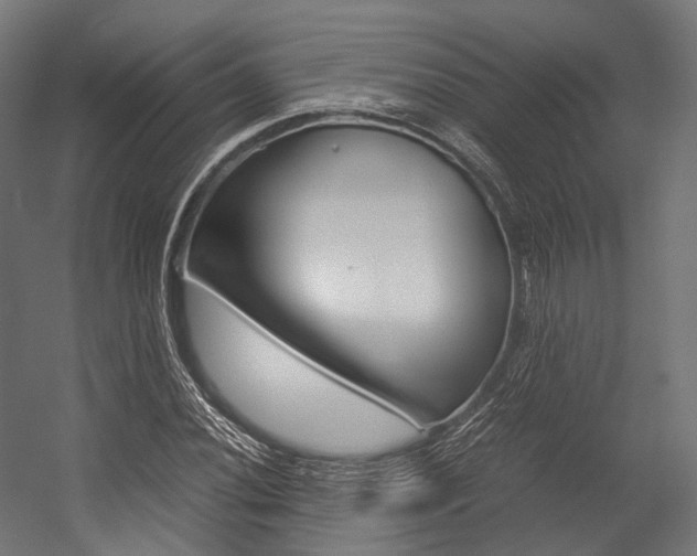 X0000054471020200507291042