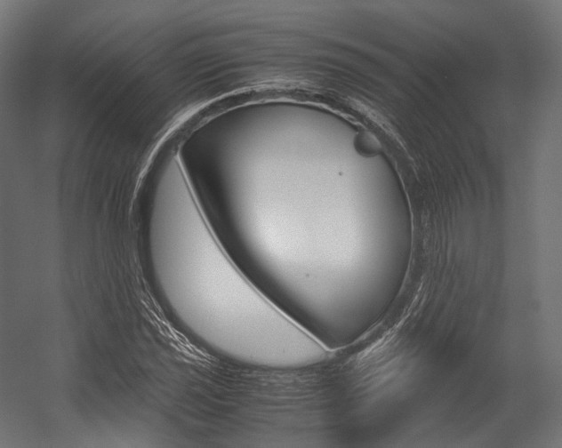 X0000054471021200507291042