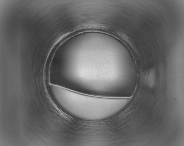 X0000054471024200507291042