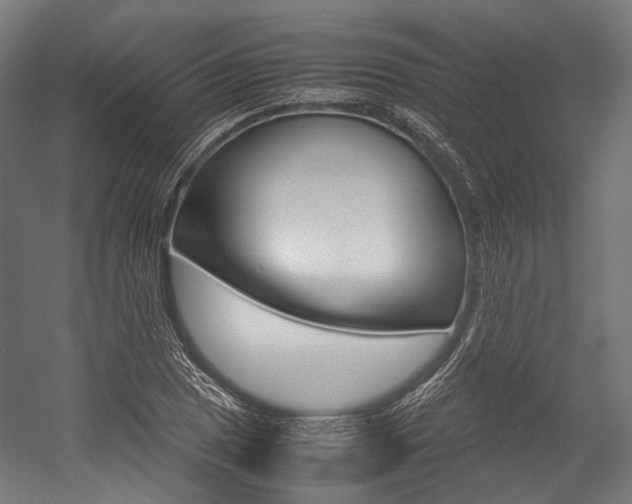X0000054471025200507291042