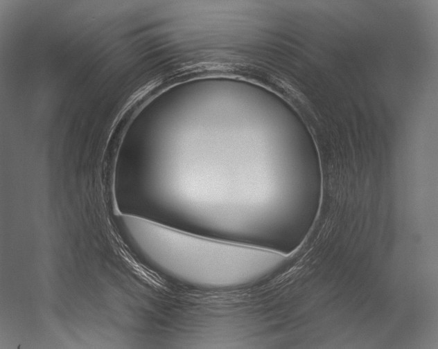 X0000054471026200507291042