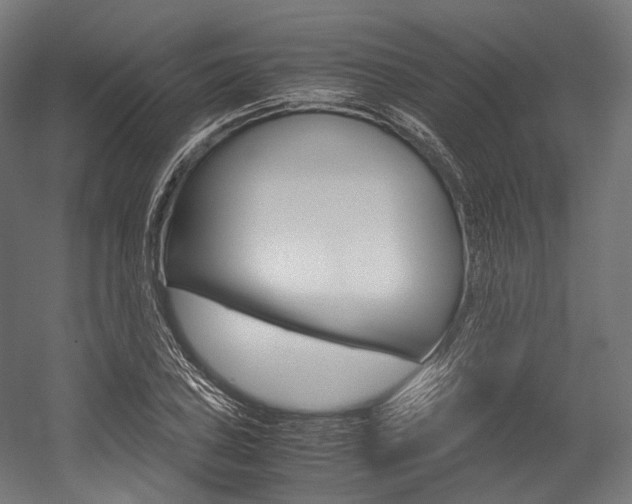 X0000054471027200507291042